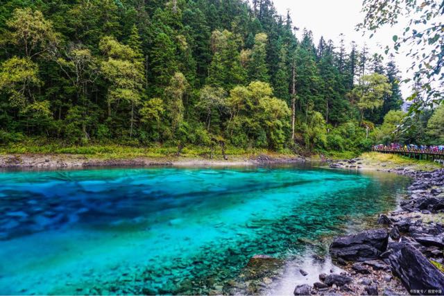 网络图片(侵删)