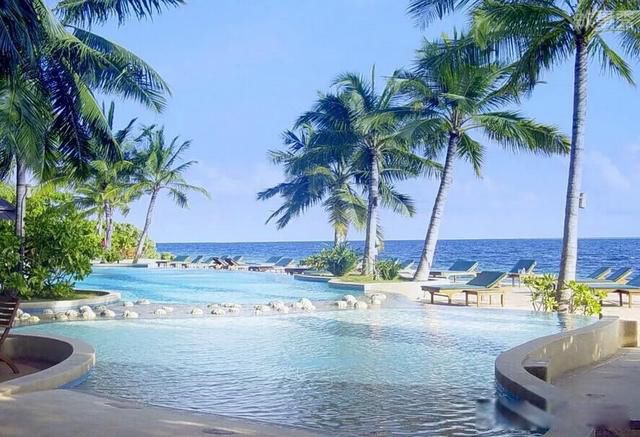 网络图片(侵删)