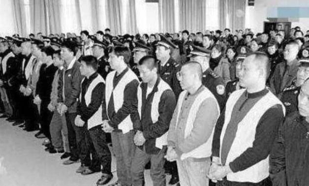 网络图片(侵删)