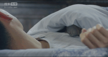 无心法师第4部简介(不看第一神剧无心法师就会后悔的800个理由)(29)