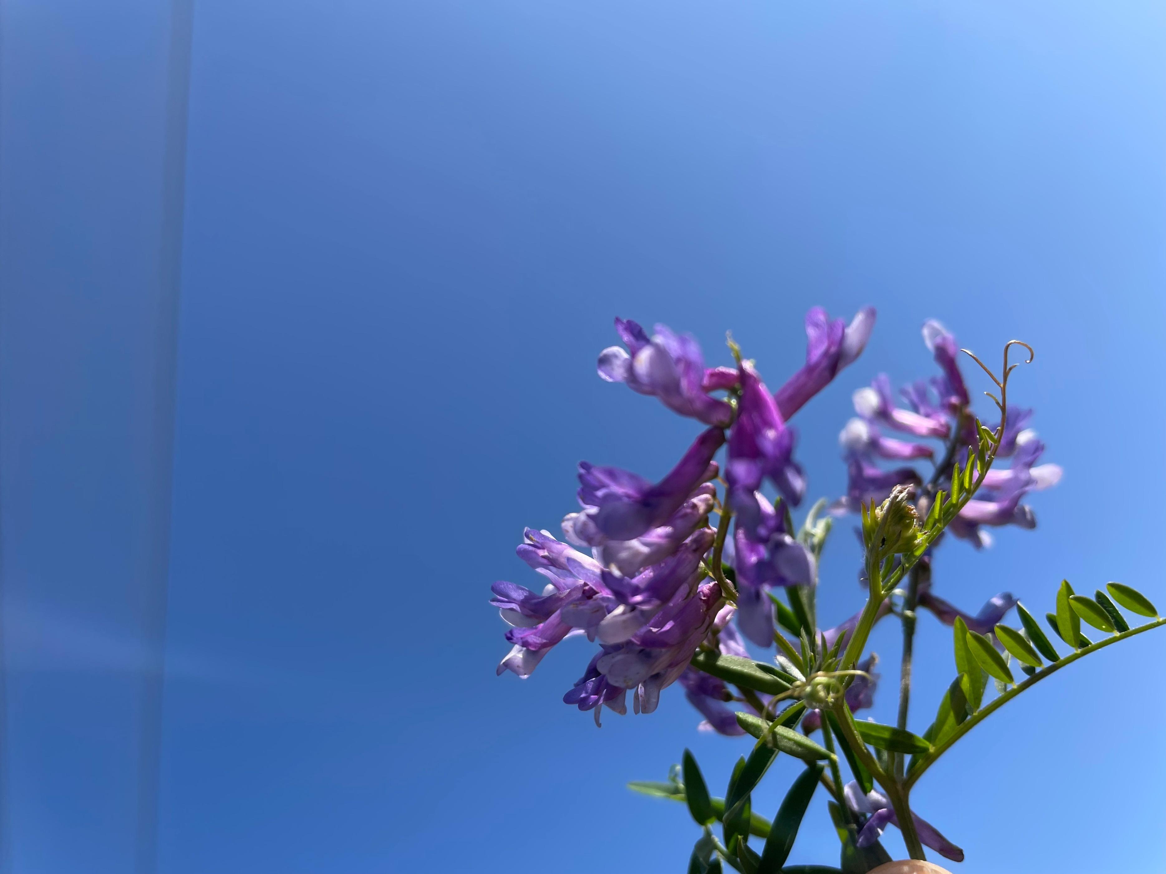 最美的瞬间想表达什么情感(最美瞬间歌曲的意义和象征)(图3) 最美的瞬间想表达什么情感(最美瞬间歌曲的意义和象征)(图3)