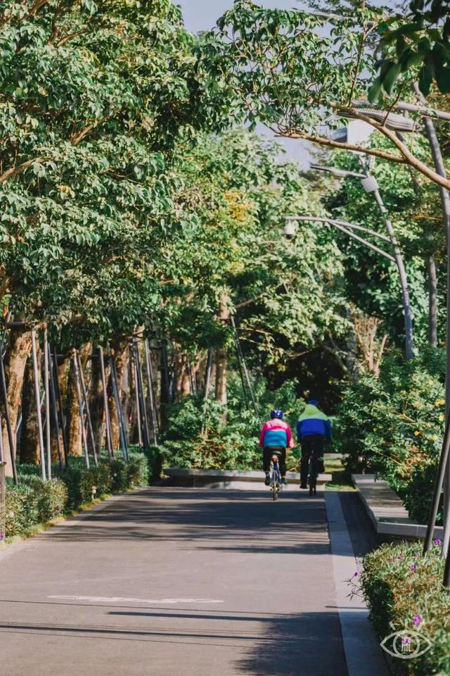 深圳有哪几个海边公园（深圳12个看海公园）(64)