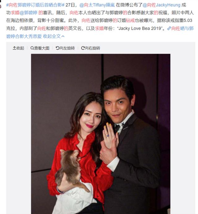 郭碧晨向佐新消息(向佐求婚郭碧晨成功)(1)