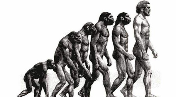人类发源之谜:揭秘人类来由的三大大概(外来物种)