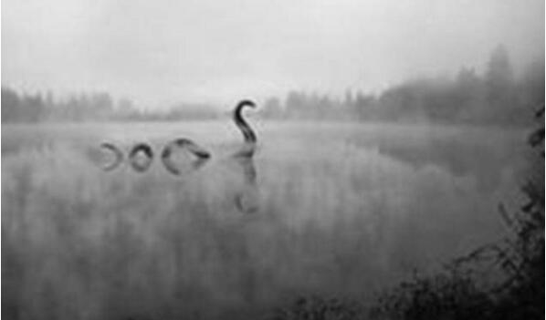 奥古布古果然存在吗，奥古布古记录片是果然吗