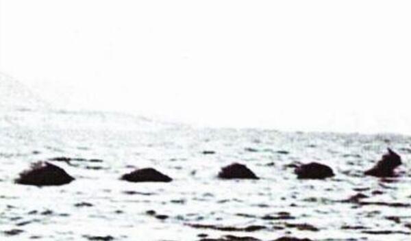 奥古布古果然存在吗，奥古布古记录片是果然吗