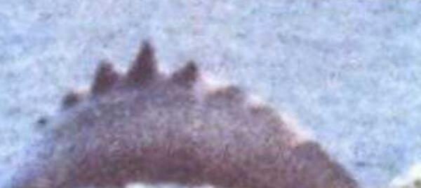 奥古布古果然存在吗，奥古布古记录片是果然吗