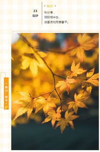 秋分是什么意思呢 秋分意思简介-图2