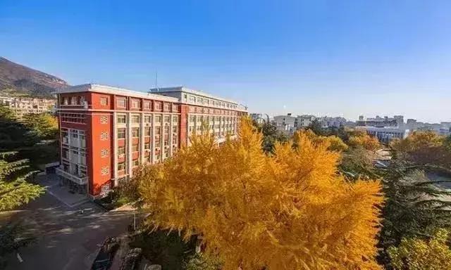 泰安有哪些好的大学(看完泰安这几所高校的秋景)(11)