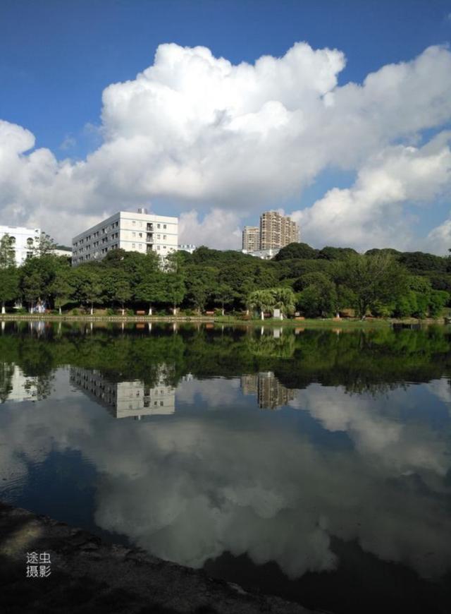 深圳职业技术学院和深圳技术大学(深圳职业技术学院为何被誉为高职院校中的)(6)
