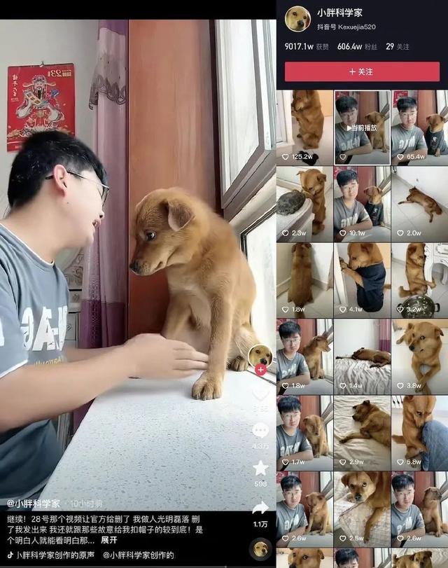 网红小狗主人否认(网红小狗遭主人扎针虐待)(3)