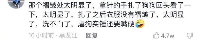 网红小狗主人否认(网红小狗遭主人扎针虐待)(7)