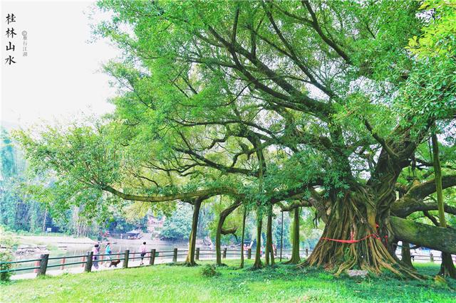 桂林阳朔漓江山水美图(广西最美的风景在阳朔)(5)
