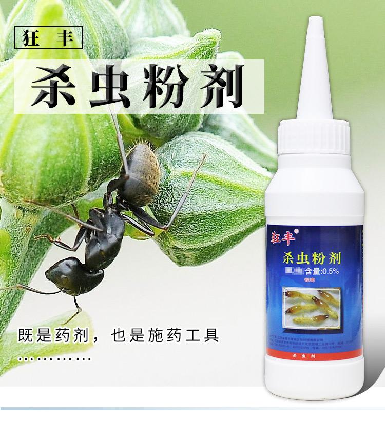 室内有小黄蚂蚁怎么办呢怎么治啊(家里有微型小黄蚂蚁的原因)(图5) 室内有小黄蚂蚁怎么办呢怎么治啊(家里有微型小黄蚂蚁的原因)(图5)