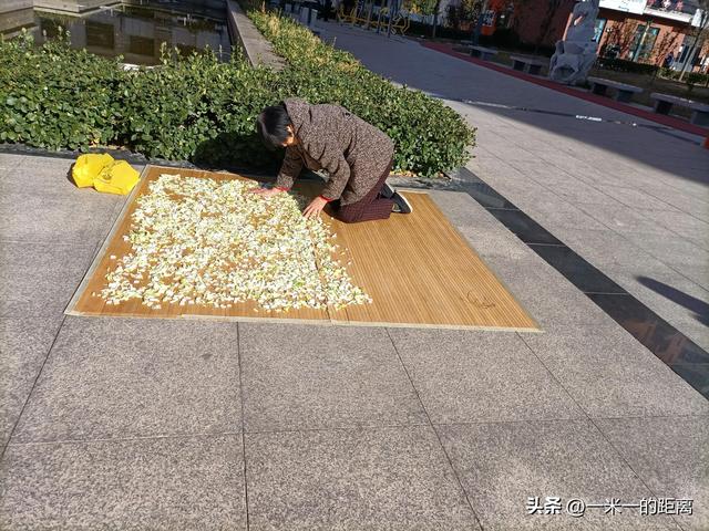 天津正宗冬菜的腌制方法(传统工艺营养丰富)(1)