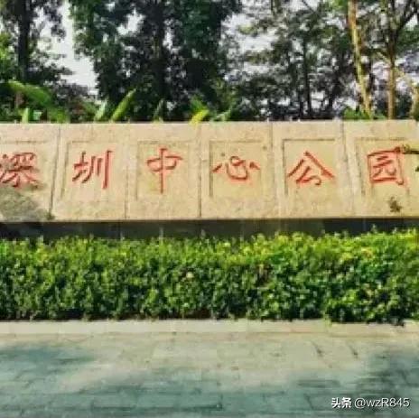 深圳公园游玩攻略(深圳游记之二深圳中心公园)(1)