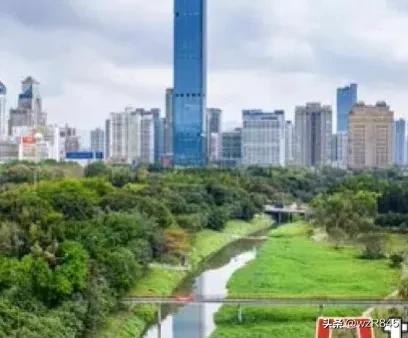 深圳公园游玩攻略(深圳游记之二深圳中心公园)(5)