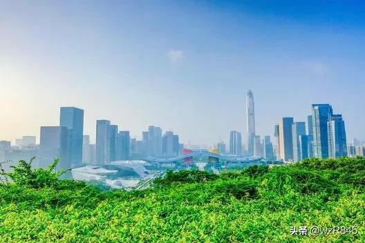 深圳公园游玩攻略(深圳游记之二深圳中心公园)(9)