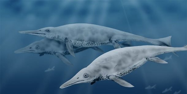 史前动物当前还存在?史前最猛烈的十大动物