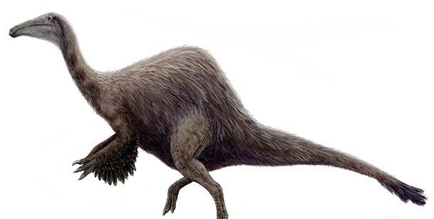 史前动物当前还存在?史前最猛烈的十大动物