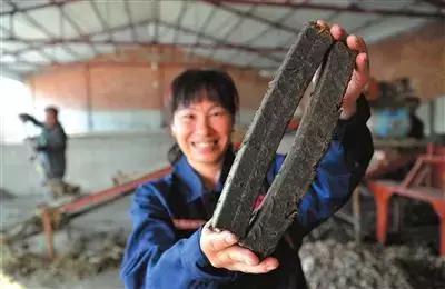 秸秆煤是骗局吗（这里把秸秆变成煤炭）(3)