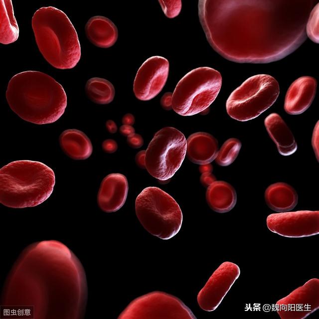 血细胞分析报告单详解图(血常规三大件之红细胞)(2)