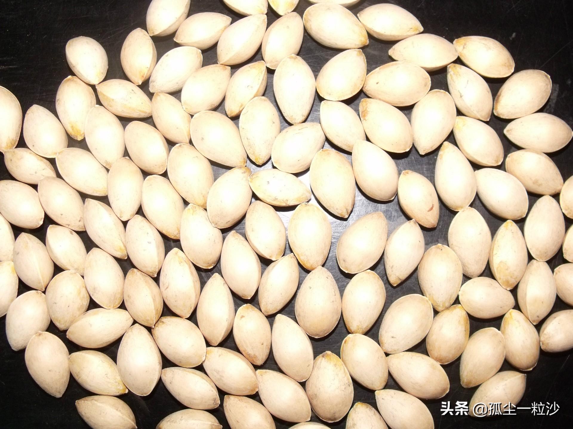 新县属于哪个市(新县是哪个省哪个地区)