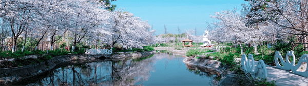 潜江市属于哪个市(湖北潜江属于哪个市)