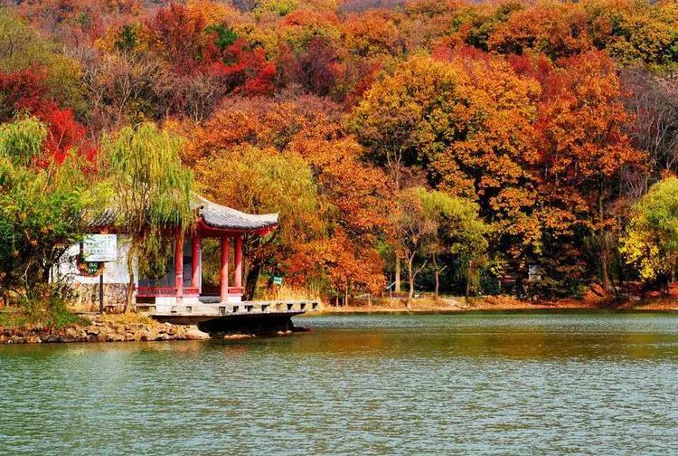 南京有什么湖(南京十大名湖)