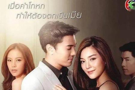 一夜丈夫泰剧剧情介绍