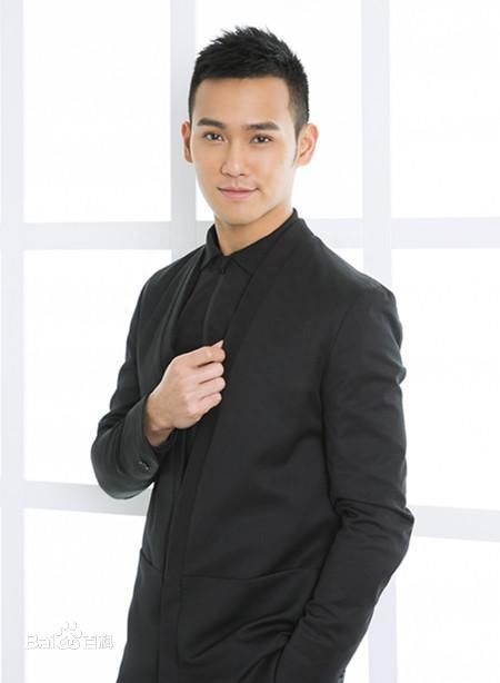 黄恺杰,最帅星二代,赵雅芝小儿子