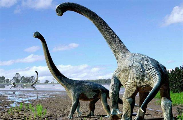 恐龙怎么灭绝的视频霸王龙(恐龙为啥灭绝那么干净)