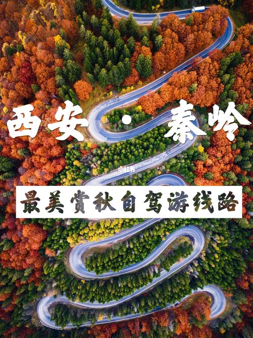 2、自驾攻略