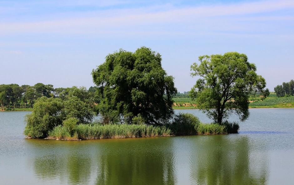 阜新人口总数是多少(阜新人口数量有流失情况吗)