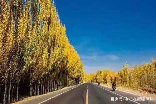 第三天:伊犁叶城-叶城