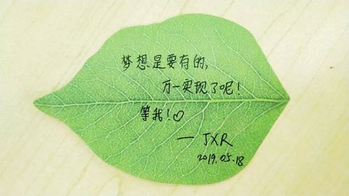5、有梦想就要行动才会有希望,旅行已经成为她生活中一种乐趣。
