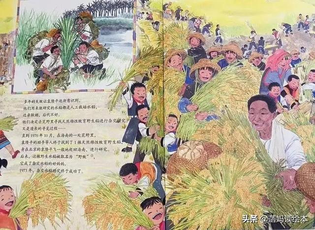 一粒种子改变世界的故事(一粒种子改变世界)(15)