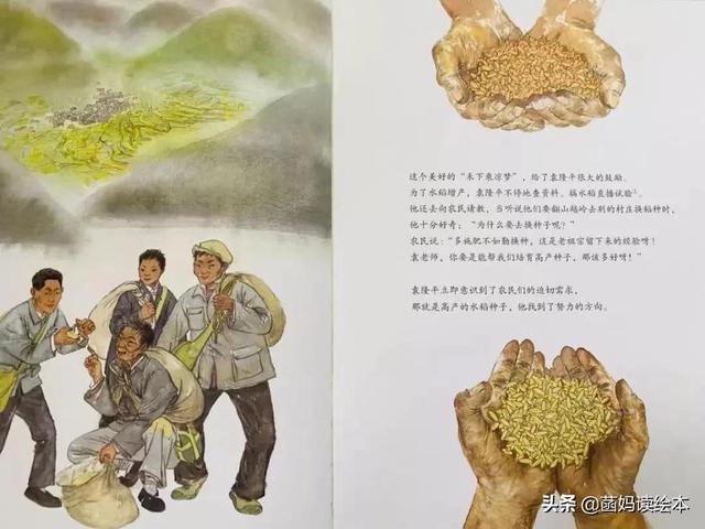 一粒种子改变世界的故事(一粒种子改变世界)(8)