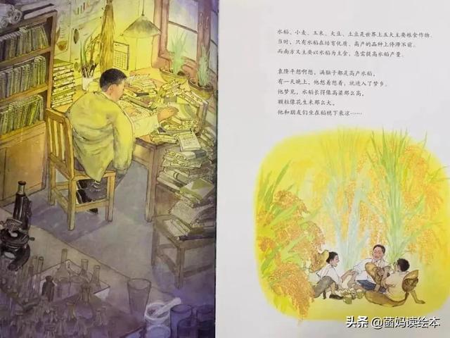 一粒种子改变世界的故事(一粒种子改变世界)(7)