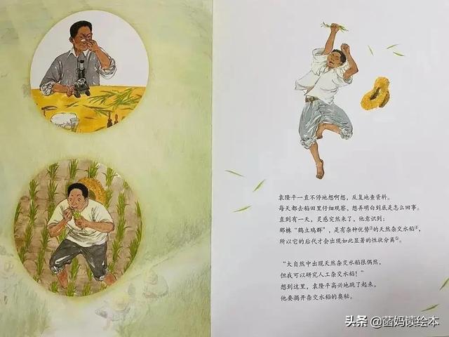 一粒种子改变世界的故事(一粒种子改变世界)(12)