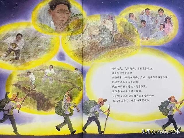 一粒种子改变世界的故事(一粒种子改变世界)(14)