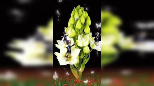 宇宙天魔剧情深度解析