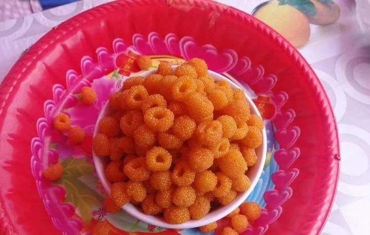 黄树莓的功效与作用及禁忌（黄泡学名叫什么介绍）