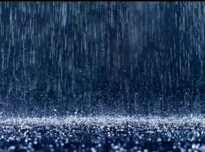 二月倒春寒啥意思（倒春寒一般是什么时候开始）