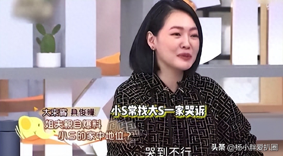 大s和小s是亲姐妹吗（大s与小s怎么区别）-