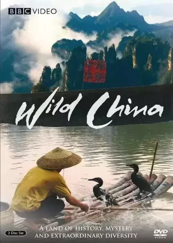 有哪些适合小孩看的纪录片(适合小孩看的10部优质纪录片推荐)