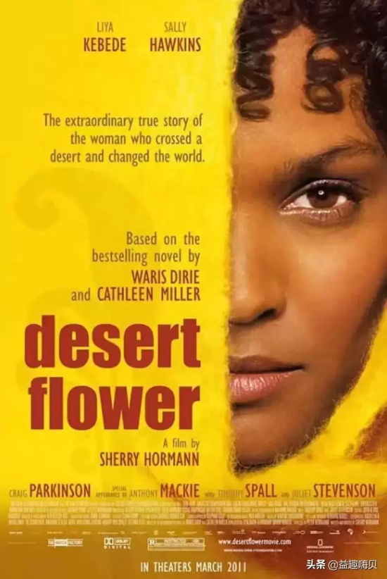 独立女性的电影有哪些（盘点8部独立女性觉醒的电影）