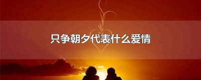 ​朝夕相爱的意思 爱在日常,不论朝夕是什么意思