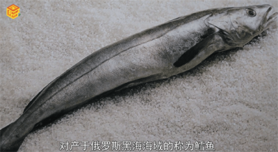 ​明太鱼是深海鱼吗?「明太鱼是海鱼还是江里的鱼」