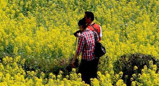 什么是大五人格？它有哪些特质，你的那个特质系数高！